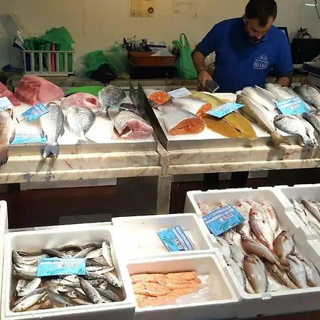 Casa de Férias Casa Da Tojeira