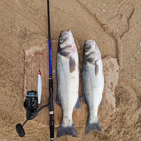 Сasa de vacaciones Casa Da Tojeira